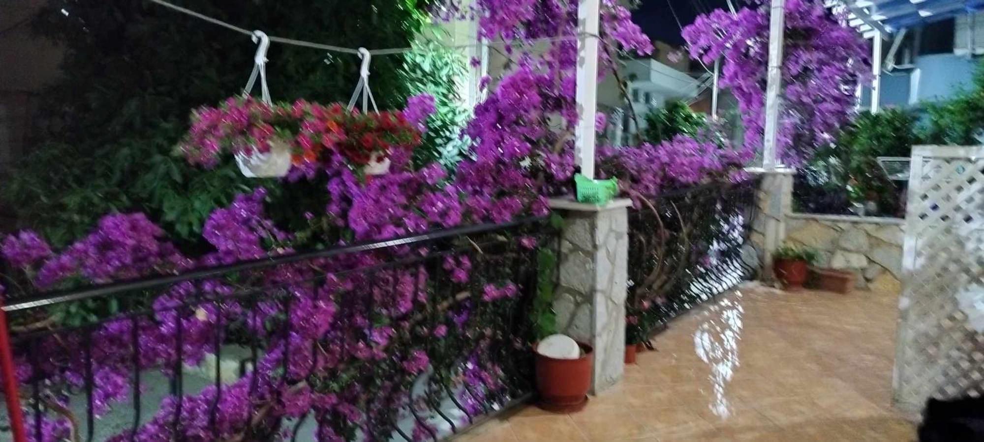 Elena Apartament Sarandë エクステリア 写真
